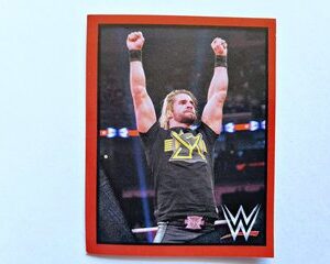 WWE TNF: Lámina 52 (A Pegar) [2016, Topps]