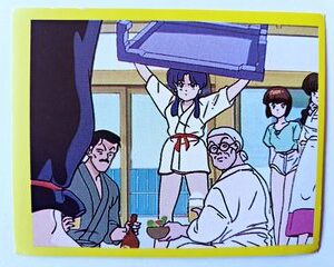 Ranma 1/2: Lámina 14 (A Pegar) [1998, Salo]