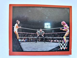 WWE TNF: Lámina 144 (A Pegar) [2016, Topps]