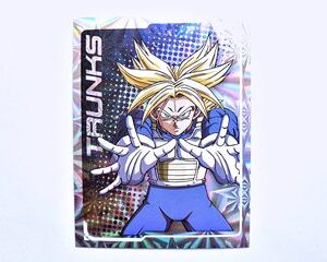 DBZ 4: Holograma E (A Pegar) [1999, Salo]