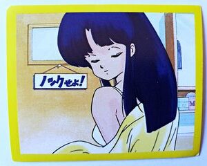 Ranma 1/2: Lámina 11 (A Pegar) [1998, Salo]