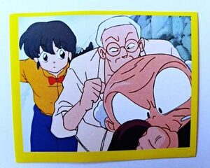 Ranma 1/2: Lámina 195 (A Pegar) [1998, Salo]