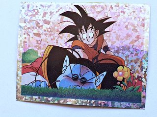 DBZ 1: Holograma 135 (Reciclado) [1998, Salo]