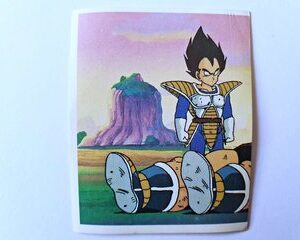 DBZ 1: Lámina 180 (A Pegar) [1998, Salo]