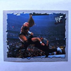 WWF: Lámina B (A Pegar) [2001, Salo]